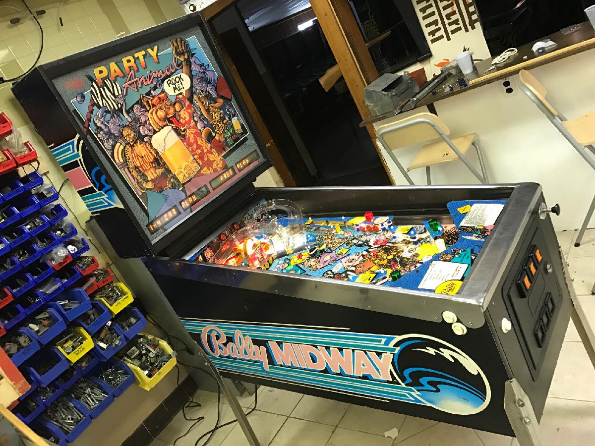 1987 Bally Party Animal at Ann Arbor Michigan Pinball Museum VFW,  info/pictures